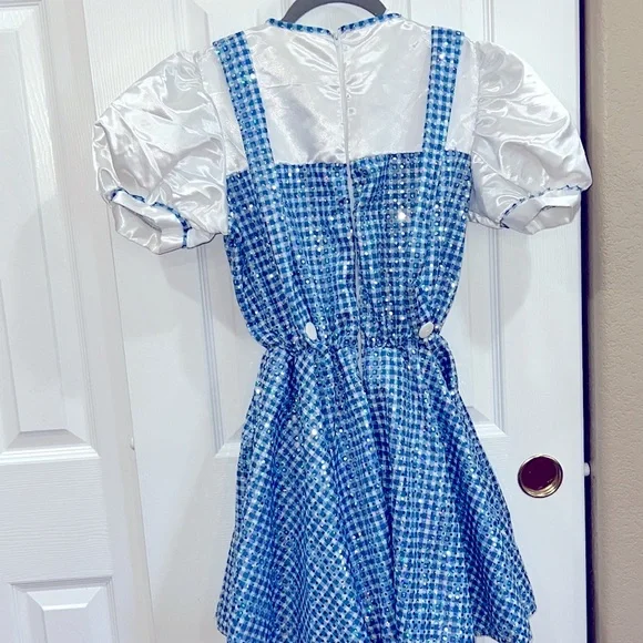 Dorothy Wizard of Oz dress size large - Picture 7 of 11